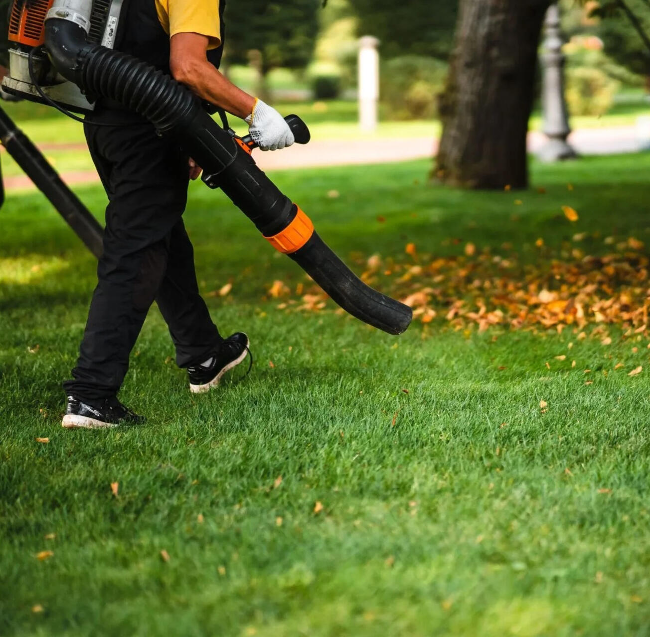 man blowing leaves